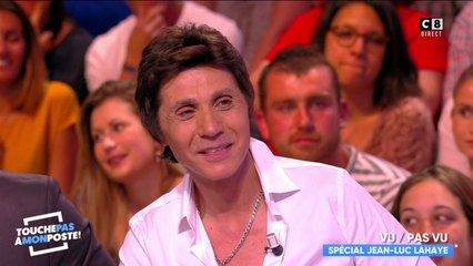 Vu / Pas vu spécial Jean-Luc Lahaye