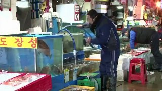 古老韩国鱼市抵制改造搬迁