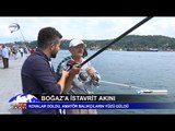 Boğaz'a istavrit akını! Kovalar doldu, amatör balıkçıların yüzü güldü...