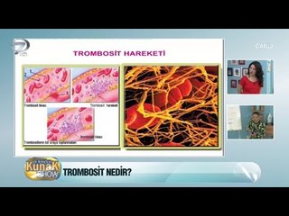 Trombosit nedir? Ne işe yarar?