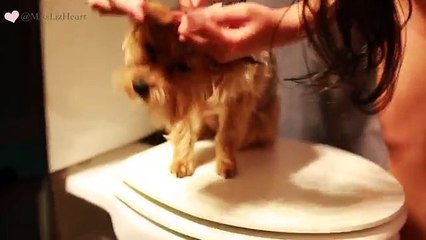 How To Clean Your Room - MissLizHeart