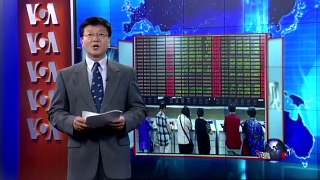VOA连线：中国股市震荡结束了吗？