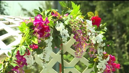 Illinois Woman Who Beat Cancer Twice, Fighting it Again Gets Married