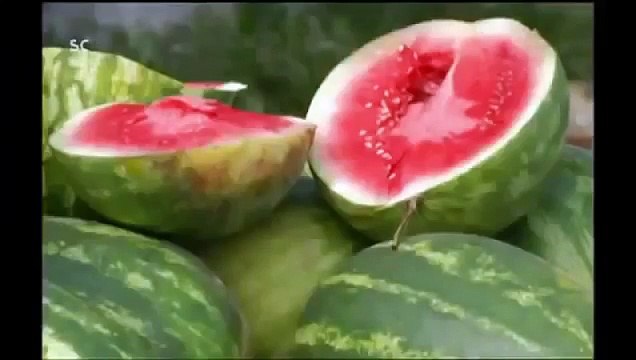 Ovni 2016 le complot extraterrestre documentaire en français part 2/2