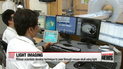 下载视频: Korean scientists develop technique to peer through mouse skull using light