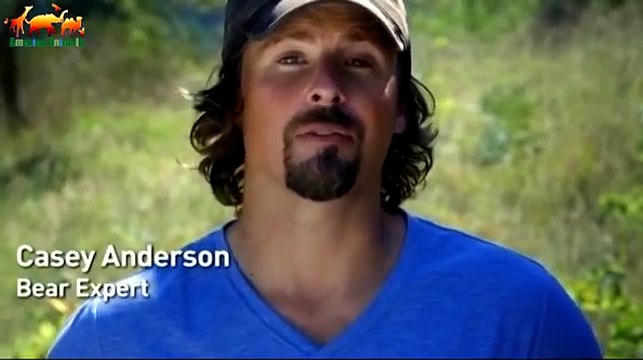Медведь напал на подростков в лесу. Медведь убийца - Документальный фильм 2018