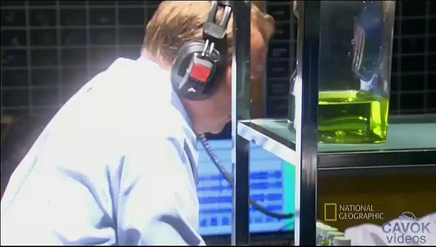 Mayday Desastres Aéreos - T10E06 - Sem controle - Turkish Airlines 1951