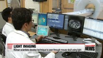 Korean scientists develop technique to peer through mouse skull using light