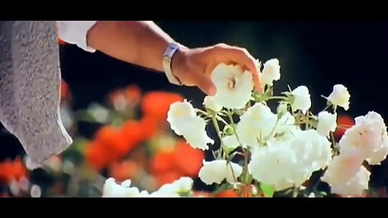 Dil Ne Ye Kaha Hai Dil Se | Hindi video status | Whatsapp Expert
