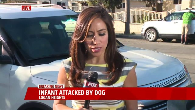 Two-Month-Old Baby Seriously Injured After Being Attacked by Dog