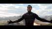 Black Panther Vs Killmonger Final Battle Fight Scene HD