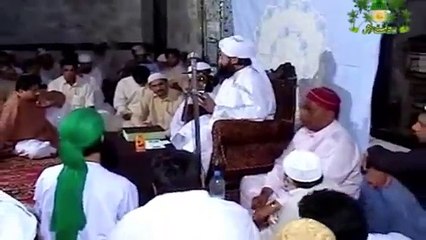 Muhammad Raza Saqib Mustafai (383)