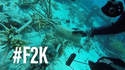 Ainda dá tempo de salvar os oceanos?