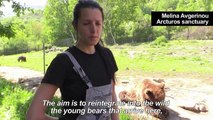Abused bears find refuge at Greek sanctuary