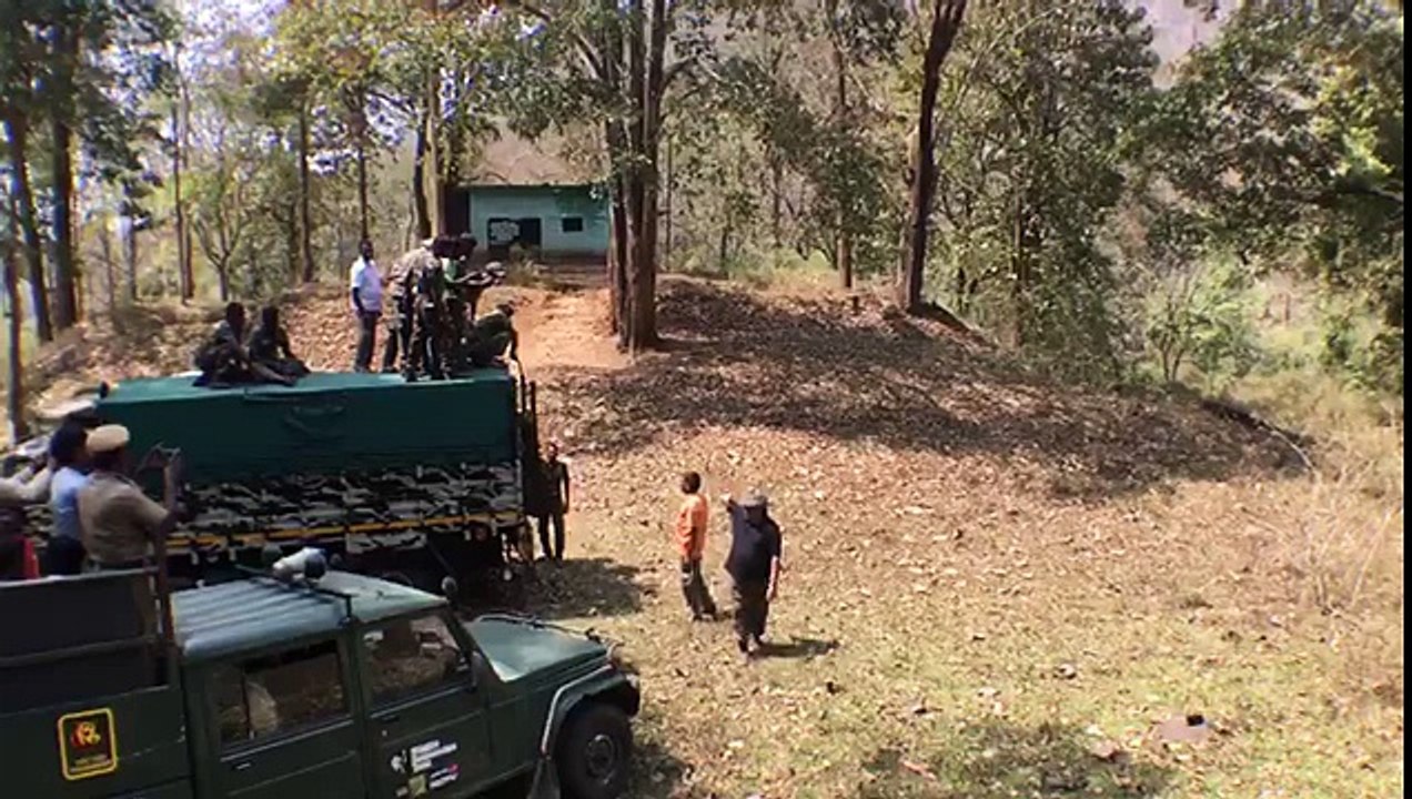 Forest guards Leaving Leopard to forest in India...!!!!