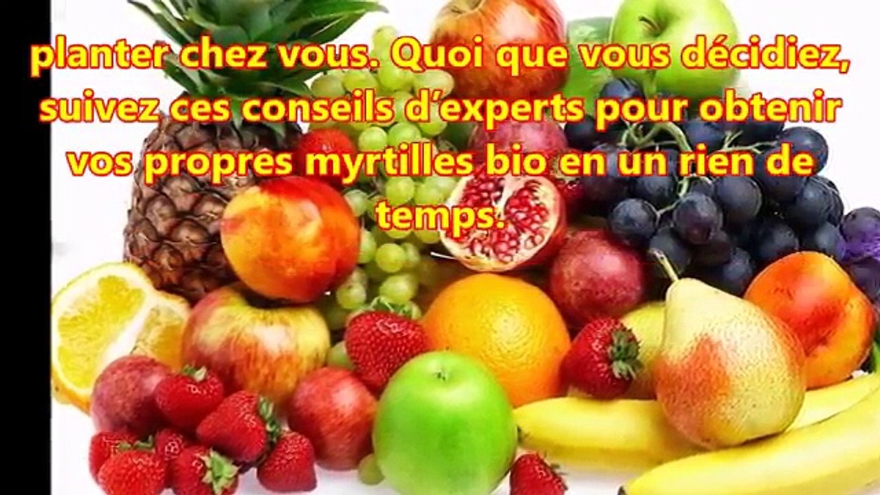 Voici comment faire pousser des myrtilles à la maison