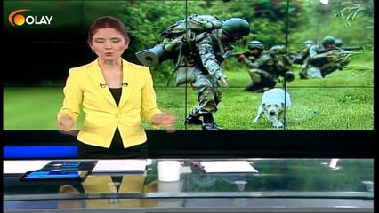 Gemlik'te eğitiliyorlar