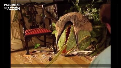 Jumanji - Detrás de cámaras (1995)