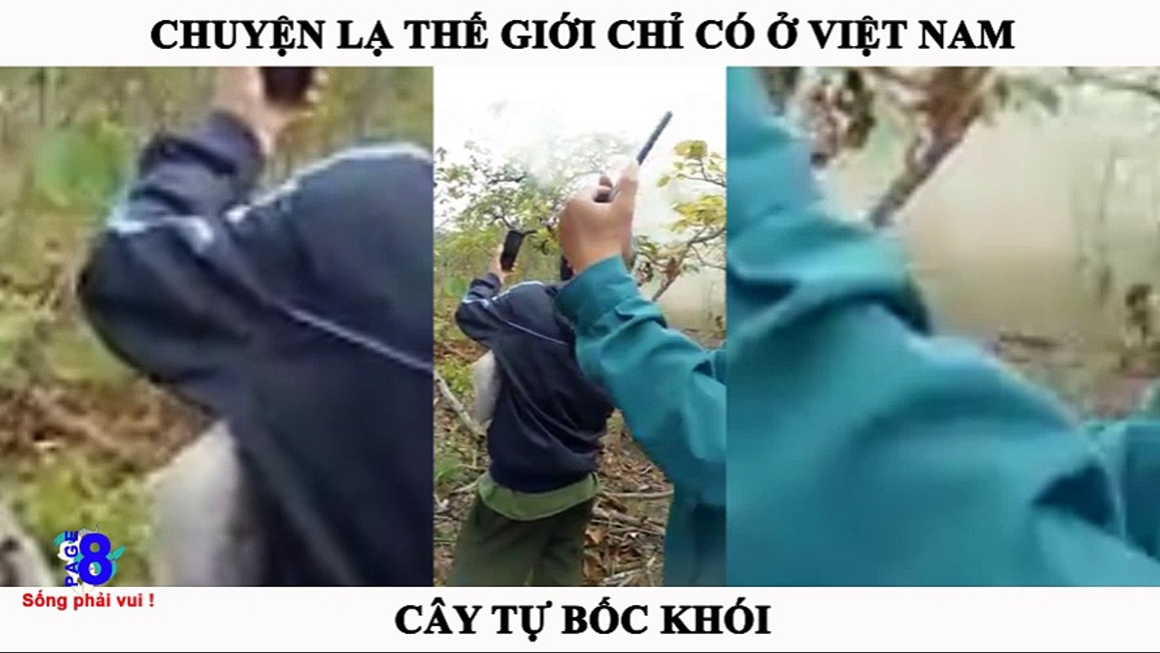 Page8vn-Cây tự bốc khói