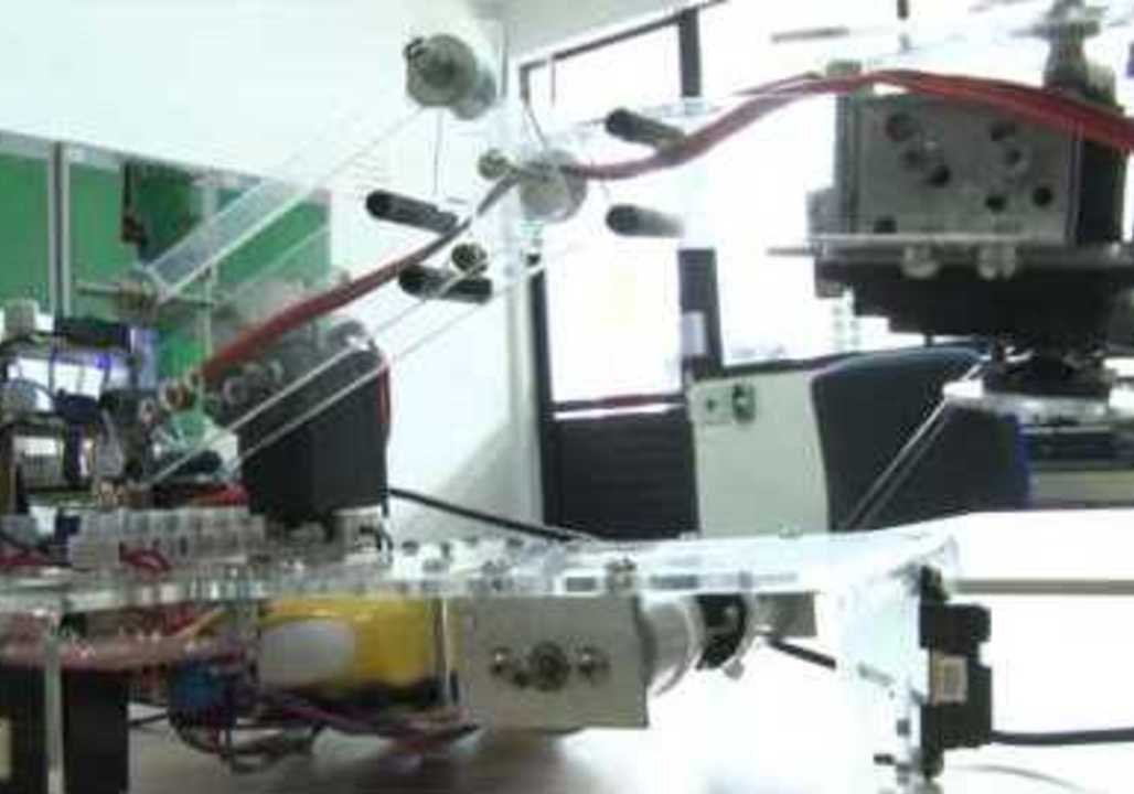 Robotic Arm Picks Up Objects Using Image Processing