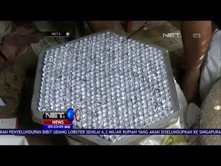 News Flash, Polisi Gerebek Rumah Pembuatan Petasan - NET 5