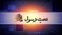 Mere Aaqa Mere Mola |  Naat | Prophet Mohammad PBH | Hafiz Shahzaib | HD Video