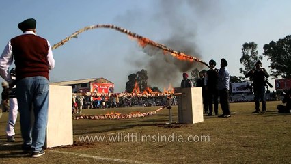 Horse riding stunts with fire, or animal cruelty in India?