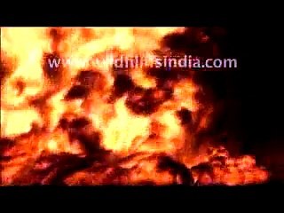 Jaipur Oil Fire - US%24100 million goes up in flames