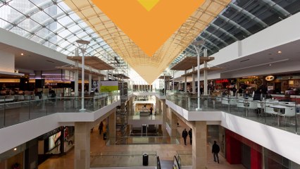 Une découverte derrière le mur des toilettes