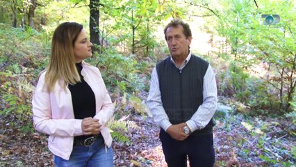 Ne Shtepine Tone, 27 Tetor 2017, Pjesa 1 - Gështenjat