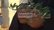 Report TV - Festa e ullirit në Roskovec mbledh qindra banor të zonës