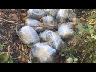 Ora News - Arrestohet e fejuara e bosit shqiptar të narkotrafikut i konsideruar “Eskobar”