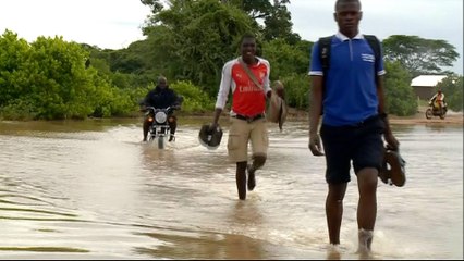 Kenya: Thousands of hectares of farmland destroyed by floods