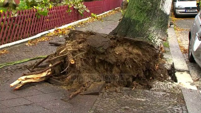 Stuhia “Herwart” kaos dhe viktima në Europë - Top Channel Albania - News - Lajme