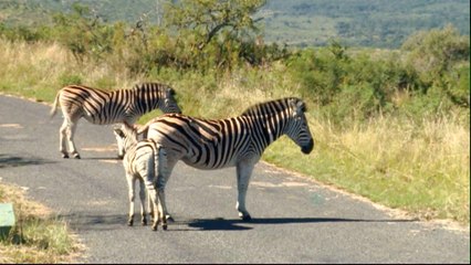 South Africa tourism growth hindered by coal mining