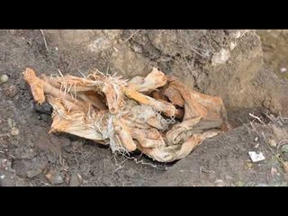 Ora News –  Sekuestrohen 15 kallëpe tritoli në Sarandë, në Elbasan gjenden 4 kallashnikovë