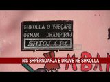 NIS SHPËRNDARJA E DRUVE NË SHKOLLA