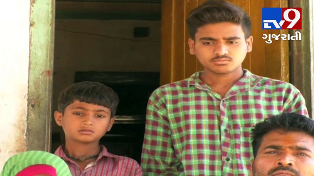 Person mortgaged his properties for cows' husbandry, panchmahal- Tv9