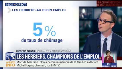 Les Herbiers, champions de l’emploi