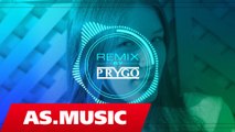 Alban Skenderaj & Dalool - 1000 Premtime (Prygo Remix)