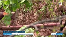 Intempéries : coulée de boue dans les Pyrénées