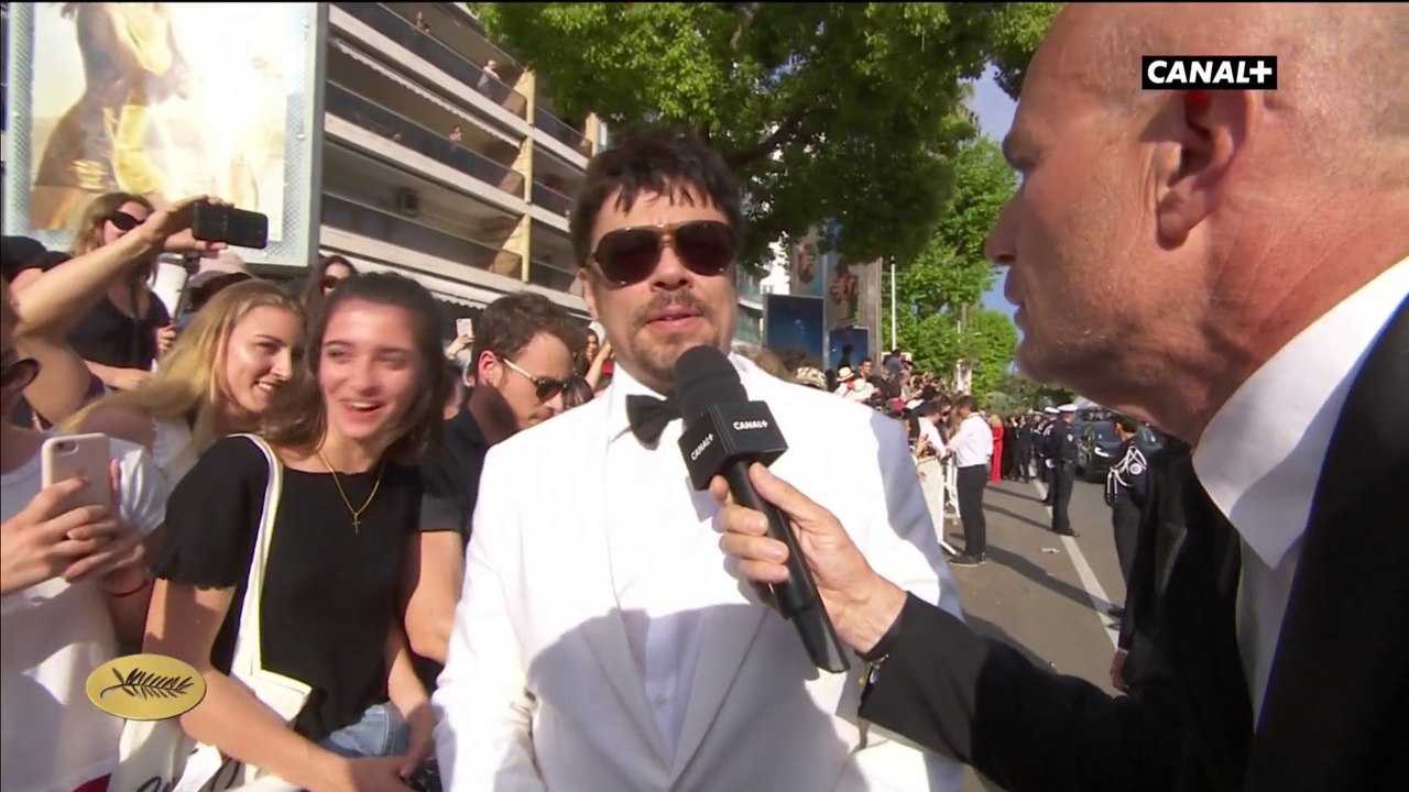 Benicio del Toro "Je m'attends à m'évader positivement, pour à la fois me perdre et me retrouver" - Cannes 2018