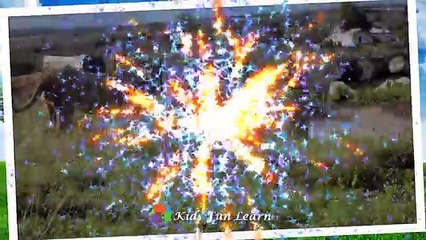 Big Cats | Learning Wild Animals Names and Sounds for kids