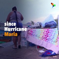 Cleansing Puerto Rico of its Native Population