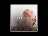 Luedji Luna - Banho de Folhas (single)