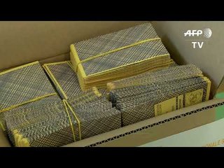 Rikthimi i Berlusconit, koalicioni i tij fiton në Siçili - Top Channel Albania - News - Lajme