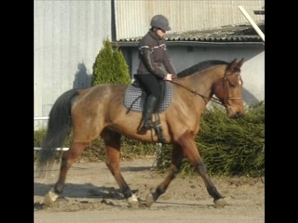 Elodie