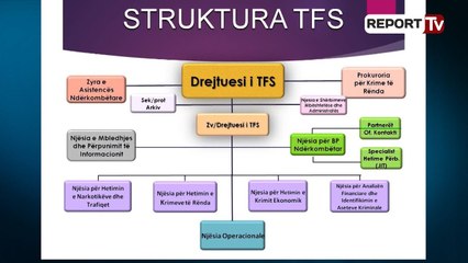 Report TV  - Dy agjentët e FBI që do luftojnë krimin në Shqipëri