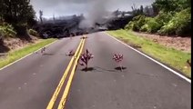 Hawaii Volcano Eruption Kilauea Lava Update