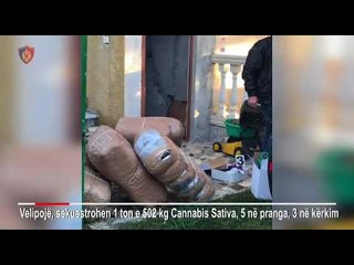 Kapen 1.5 ton kanabis ne Velipoje